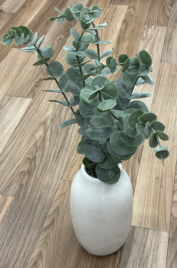 W333 eucalyptus