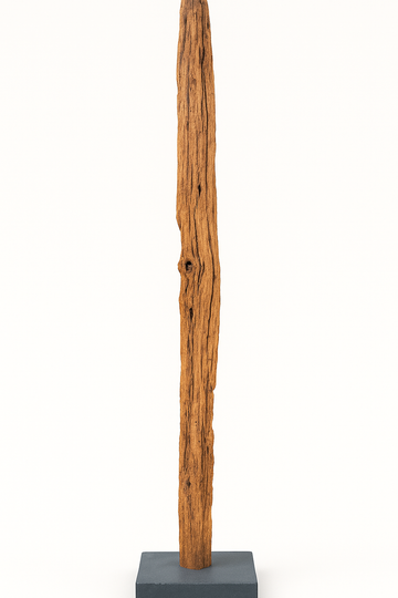 C250 Wood Sculpture Large