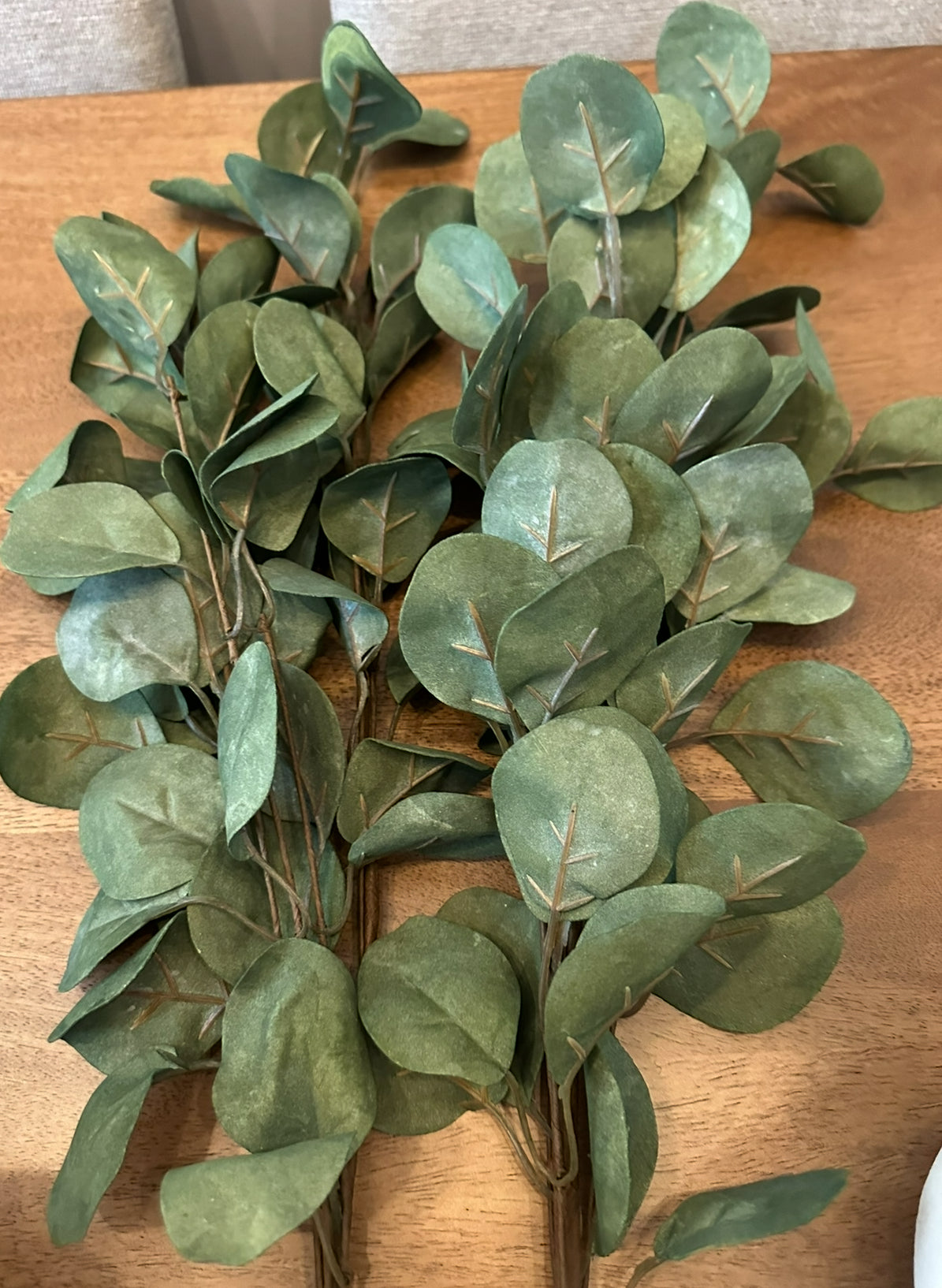 O108 Eucalyptus Stem