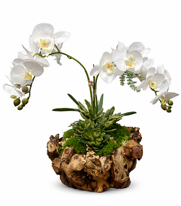 T117 Custom Floral