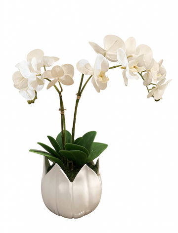 K3 Custom Orchid Floral