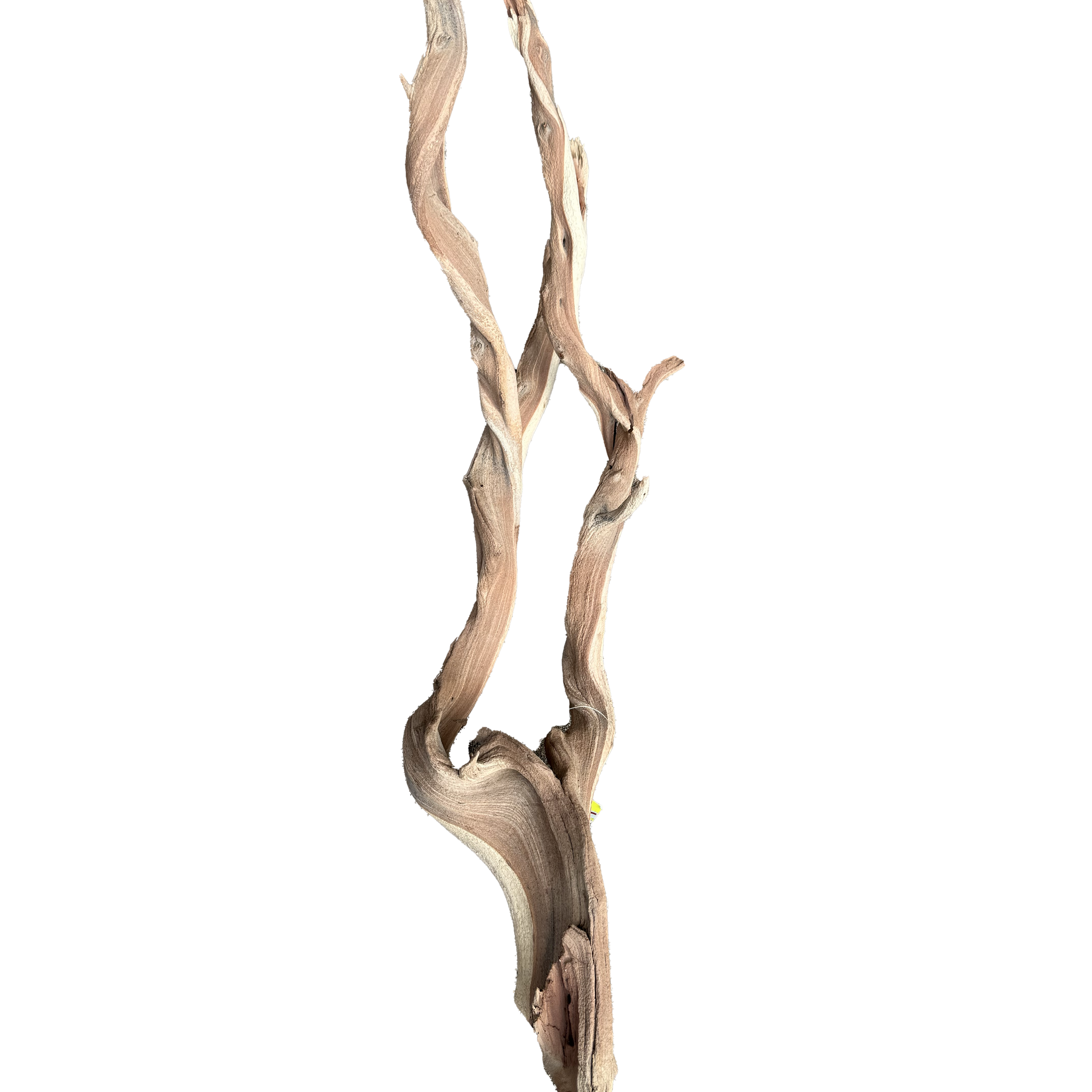 B212 decorative branch