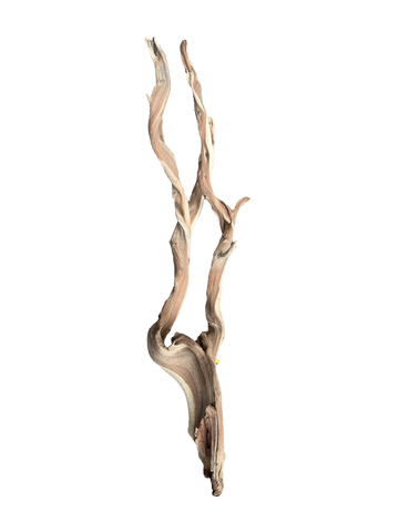 B212 decorative branch